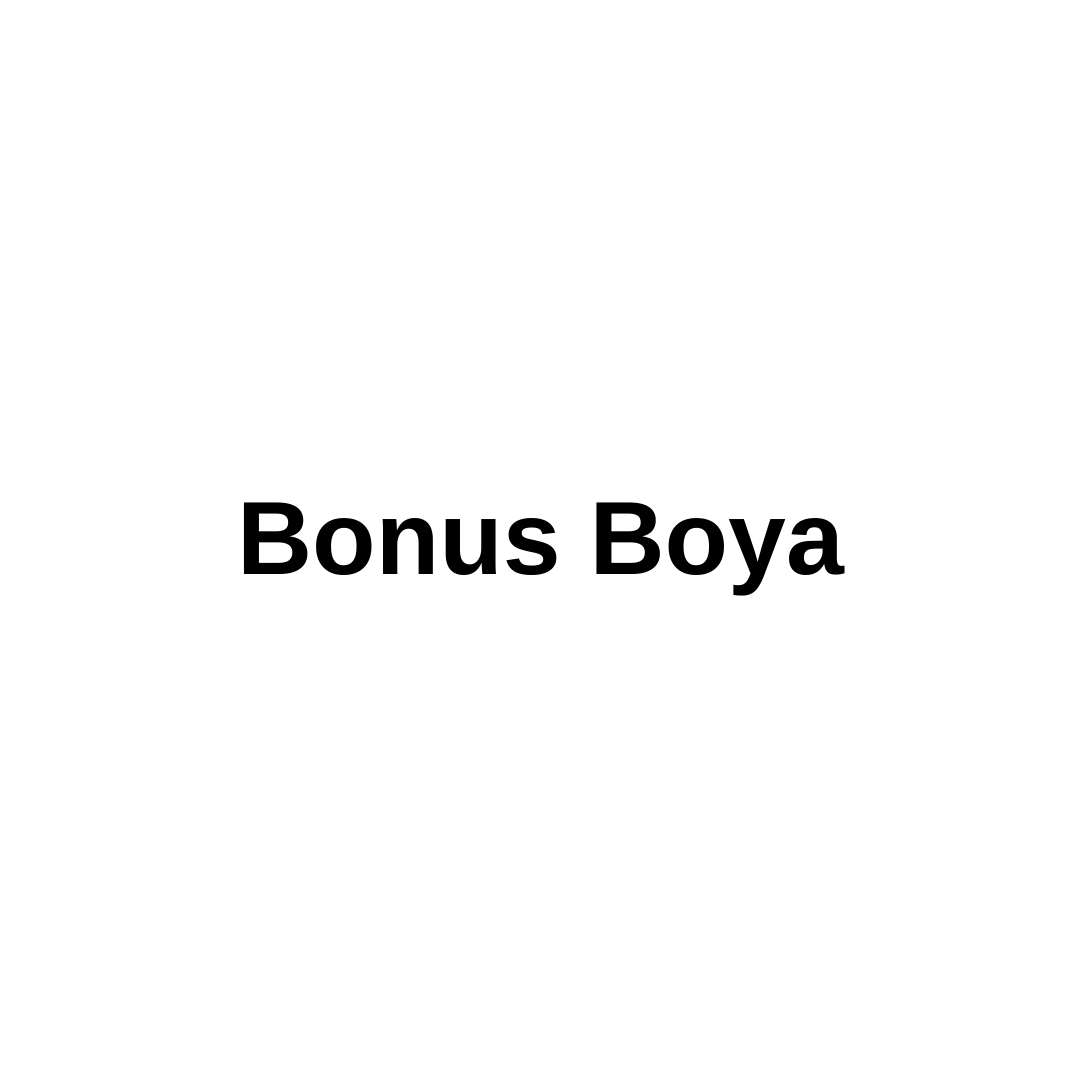 Bonus Boya Bayilik