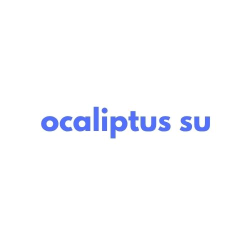 Ocaliptus Su Bayilik Şartları