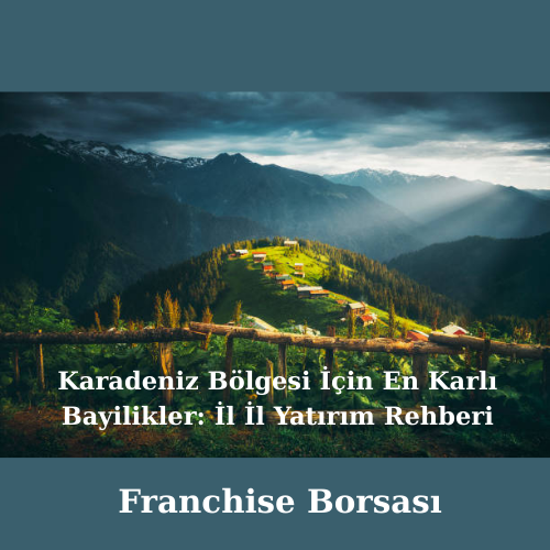 Karadeniz Bölgesi İçin En Karlı Bayilikler: İl İl Yatırım Rehberi